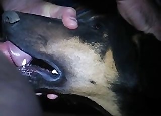 Insane dog getting face-fucked hard