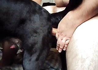 From the rear fuck-a-thon for a human and a horny doggystyle