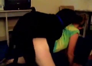 Gonzo dog fuck with big black Labrador