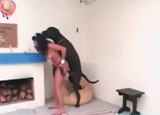 Tanned chick boned by a mutt on all fours