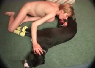 Black mutt with meaty dick sucked by female