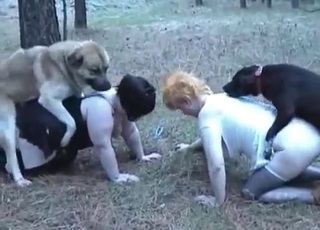 Insatiable animal sex with a dog