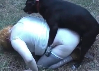 Insatiable animal sex with a dog