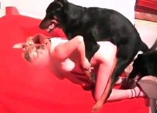 2 dogs luving a handsome zoophile