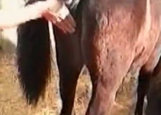 Rear end style zoophilia penetration