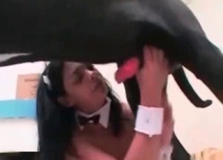 Dog gets this sweet Asian cunny