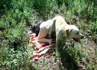 Milky doggie railing a greedy slut