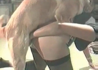Jiggish doggy impales my twat