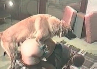 Jiggish doggy impales my twat