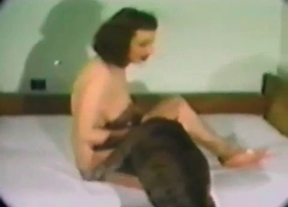 Lovely dog loves its busty owner