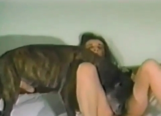 Lovely dog loves its busty owner