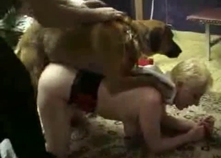 Sexy doggy and nice nymph in zoophilia XXX