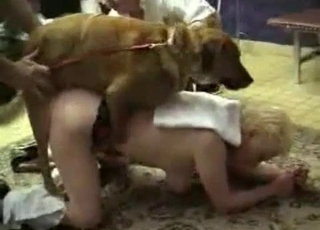 Sexy doggy and nice nymph in zoophilia XXX
