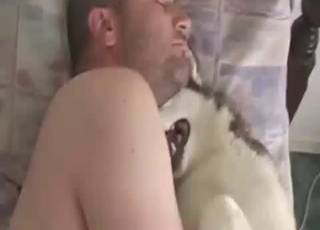 White dog rides on a big penis of a filthy zoophile