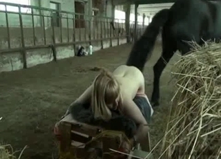 Farm animal and a submissive blonde have a match