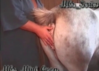 Farm BBW is playing with a huge pony