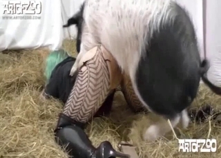 Good pig and a green-haired hottie have nice sex