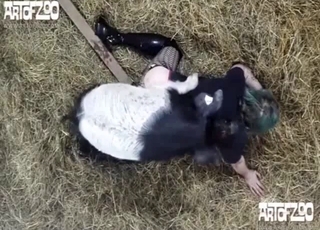 Good pig and a green-haired hottie have nice sex