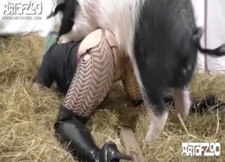 Good pig and a green-haired hottie have nice sex