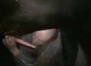 Extreme close-up sex with animals