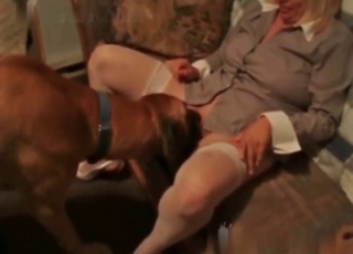 Good-looking dog and a pretty blonde