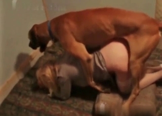 Good-looking dog and a pretty blonde