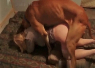 Good-looking dog and a pretty blonde