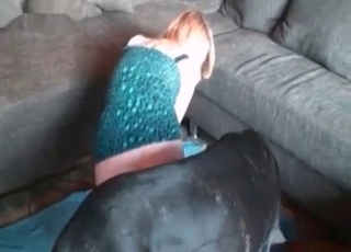 Humungous dark-hued mutt railing this girl