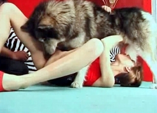 Northern dog gives a perfect blowage