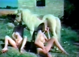 Vintage sexual fun where a brunette loves her dog