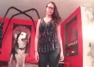 Husky having some incredibly hot bestiality enjoyment