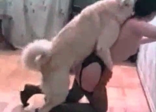 This black-haired wears stocking and has sex with a dog