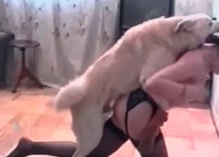 This black-haired wears stocking and has sex with a dog