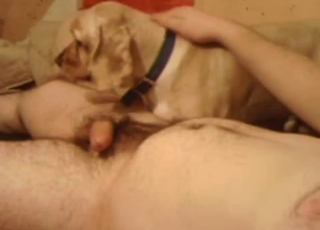 Fellow with a big knob gets sucked off by his doggo