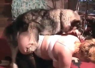 Amazing animal sex with a nice doggo