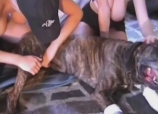 Amazing doggy and hot woman have hot sex