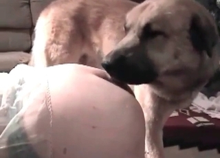 Total whore really wants to please the cock of this doggie