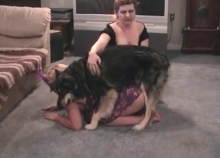 Horny hound is totally ravaging the pussy of this slut