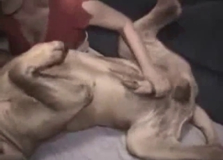 Bestiality video for an incredible bitch and a cute dog