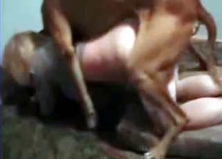 Black dog smashed her pussy from behind