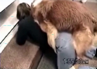 Black dog smashed her pussy from behind