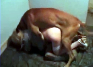 Black dog smashed her pussy from behind