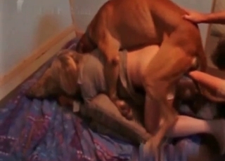 Blonde with stockings penetrating hard a cute dog