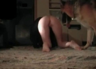 Dog fucked her wet pussy with force