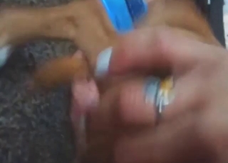 POV footage showing a dog licking that lady