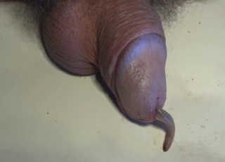 Worm makes its way out of his sexy zoo cock