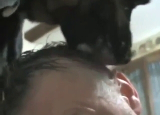 Guy lets the dog lick his head to get harder