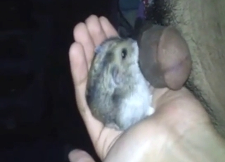 Dude wants to fuck his hamster, but can't