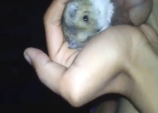 Dude wants to fuck his hamster, but can't