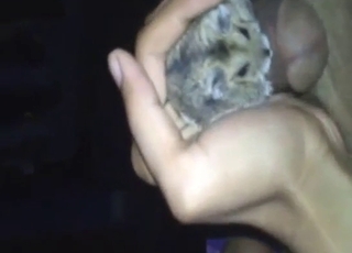 Dude wants to fuck his hamster, but can't